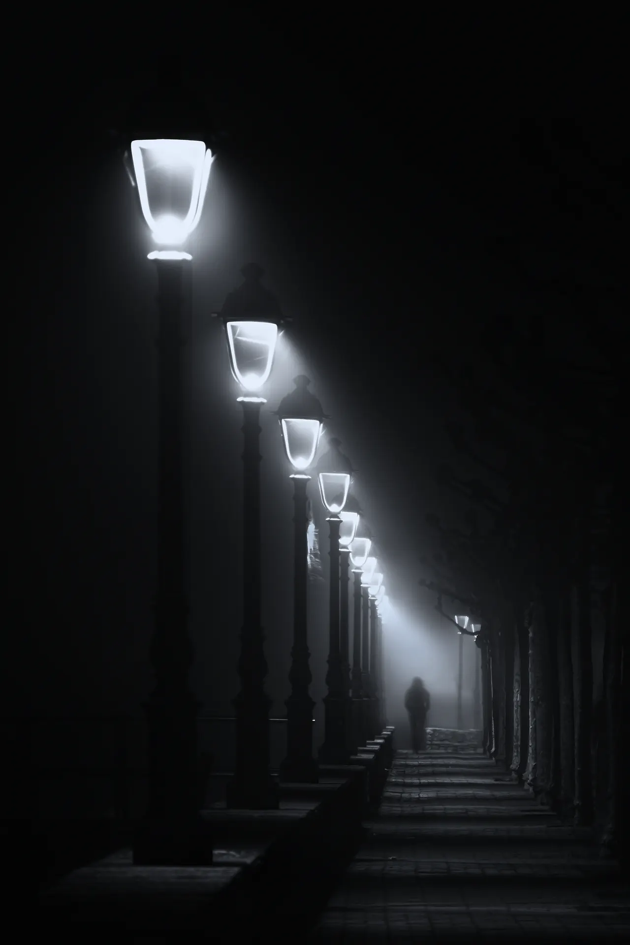 Farolas encendidas en calle con niebla Farolas encendidas en calle con niebla